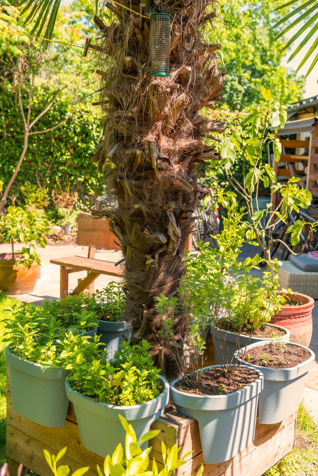 Cozy House - Leenfietsen, Eigen Keuken En Badkamer Nijmegen Kültér fotó